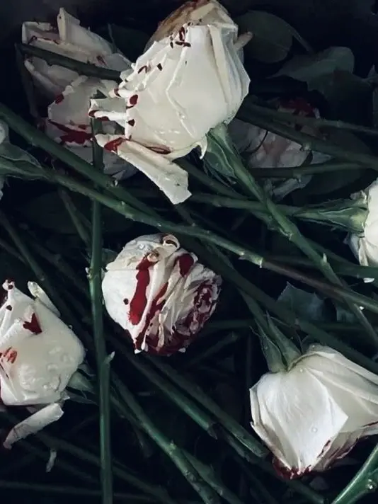 IndigoTrade3139의 Your Bully Victim- BL