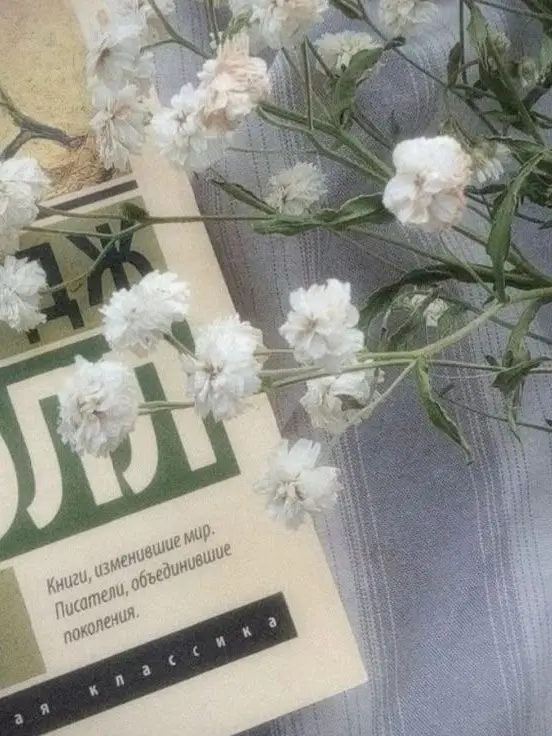 KeenGrebe9858의 ㅤㅤ