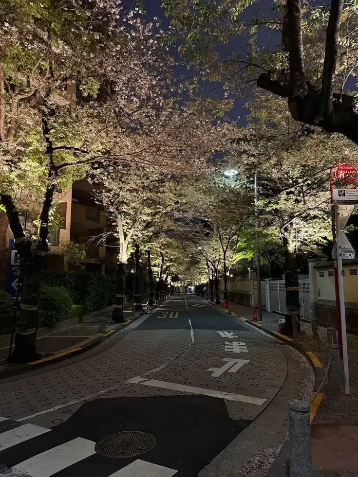 Ix.rn_의 彼氏の兄に恋された
