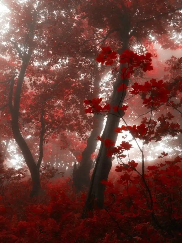 interesting_taste의 플래그