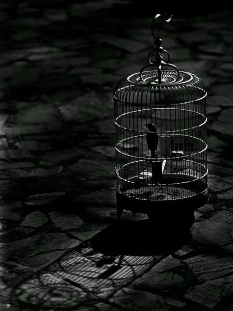 aki_san의 ✦ Beastman Shelter ✦