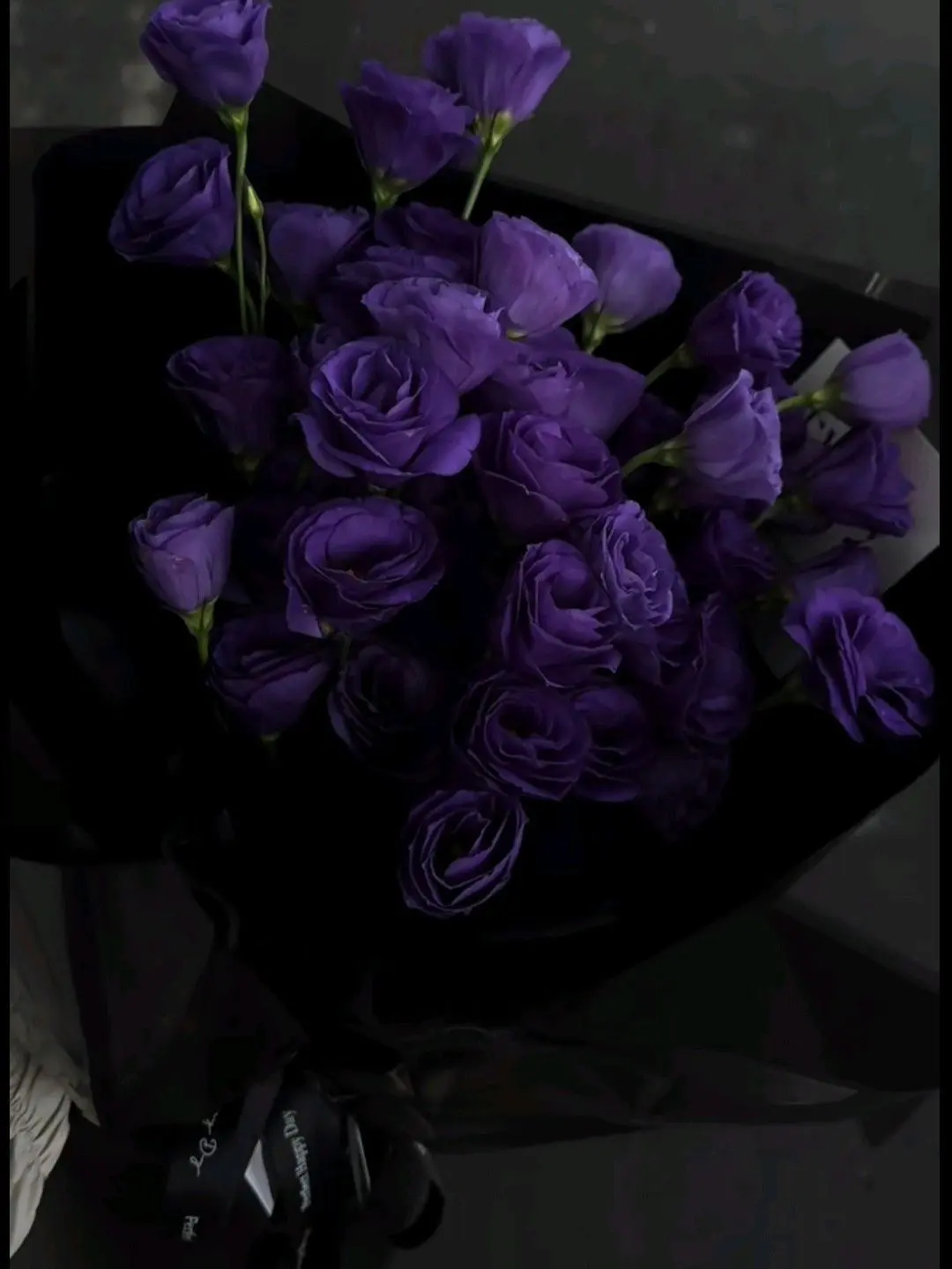 Milky_way_233의 아르노