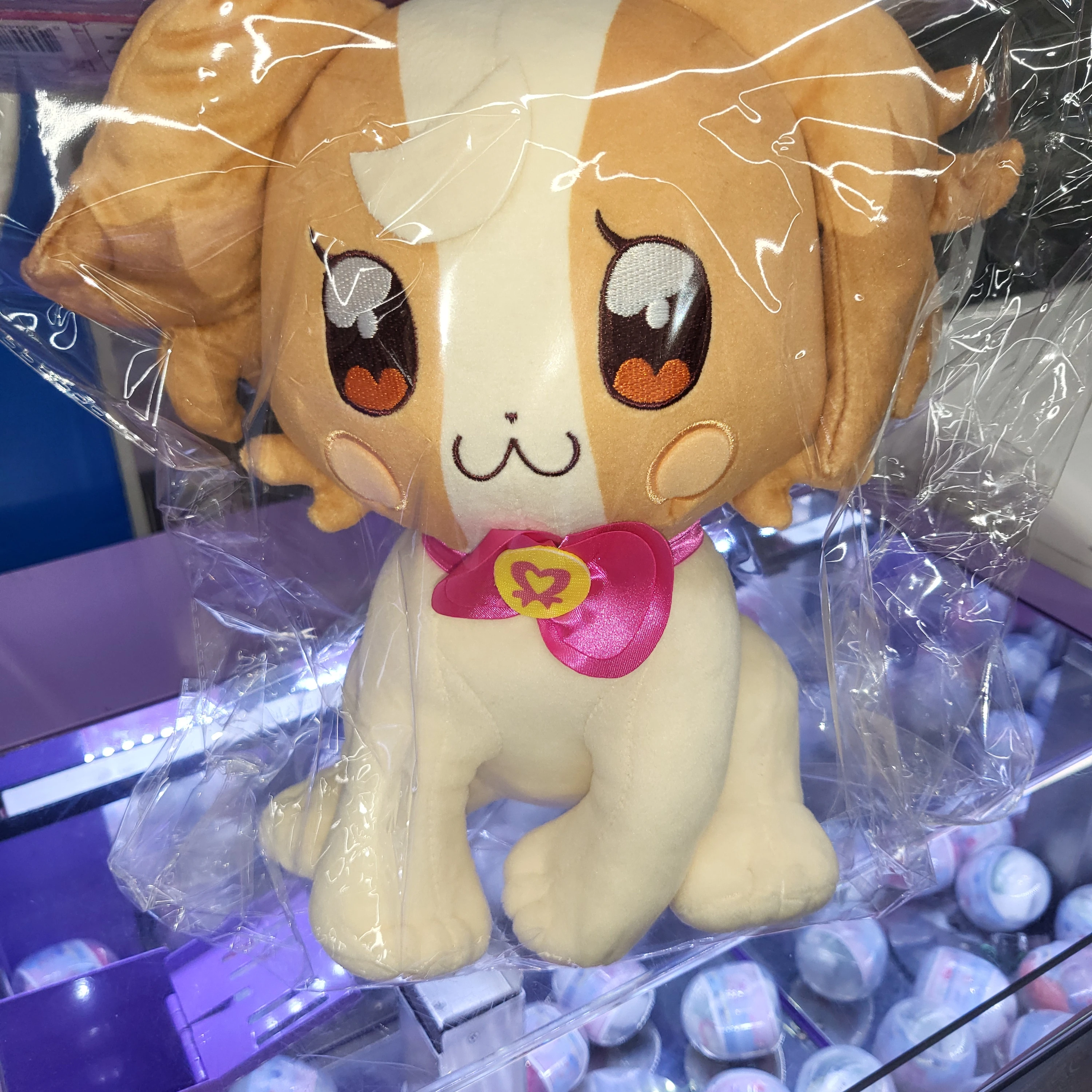 프리큐어보리