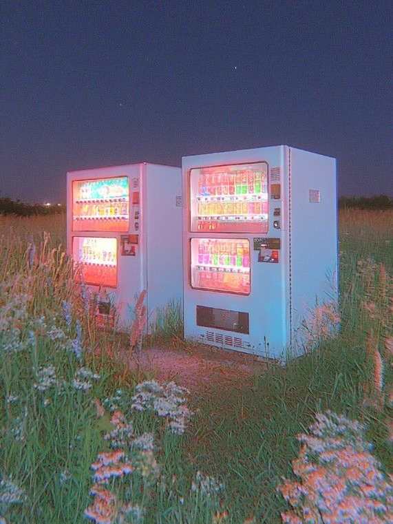 검정나비 대표 이미지