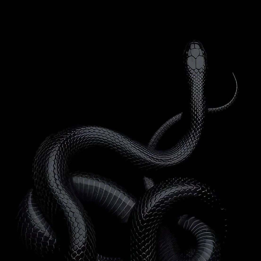 헴로크(개인용)