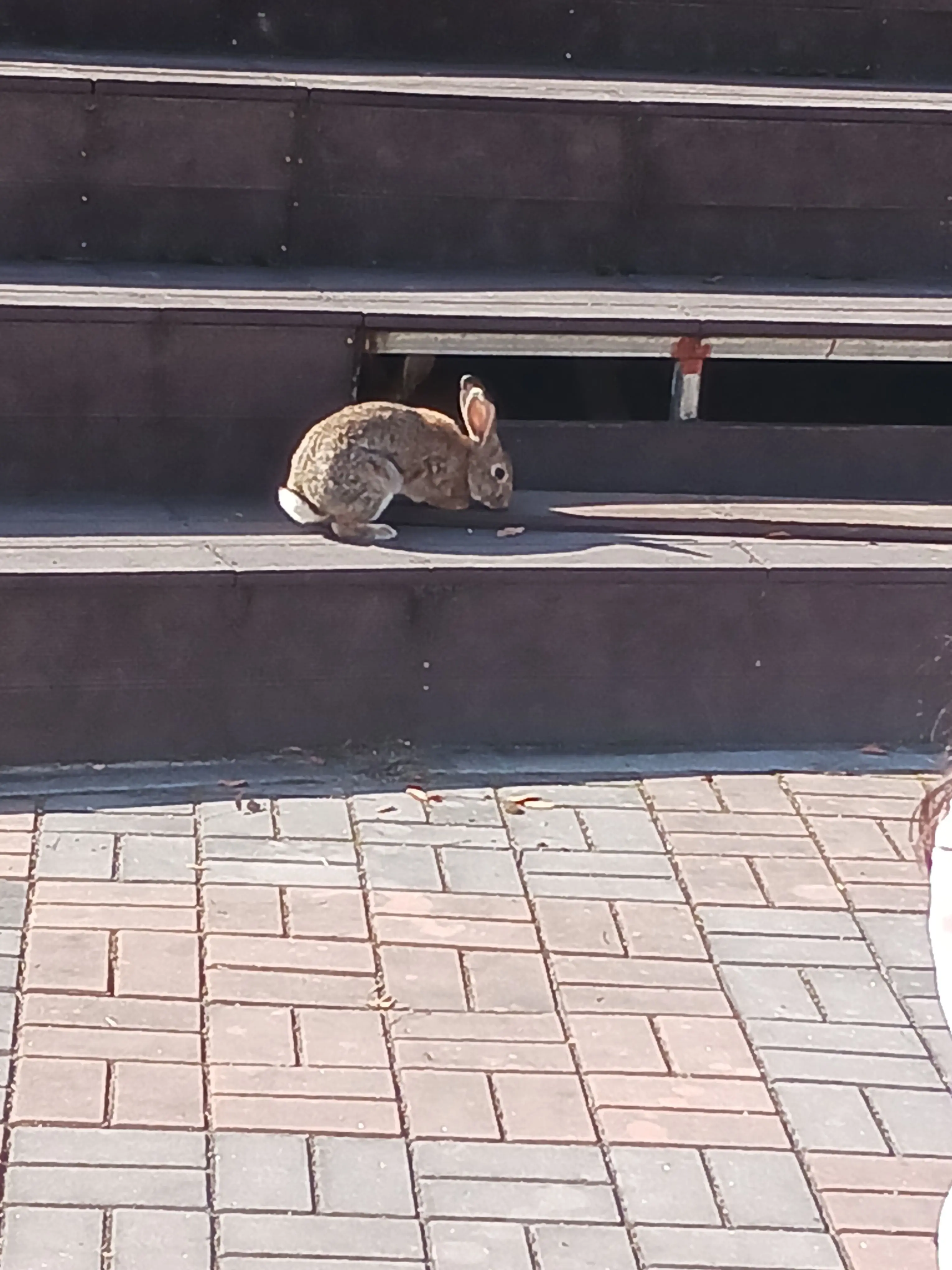 ksh1321의 [초세여] 그 날이 도래했다.