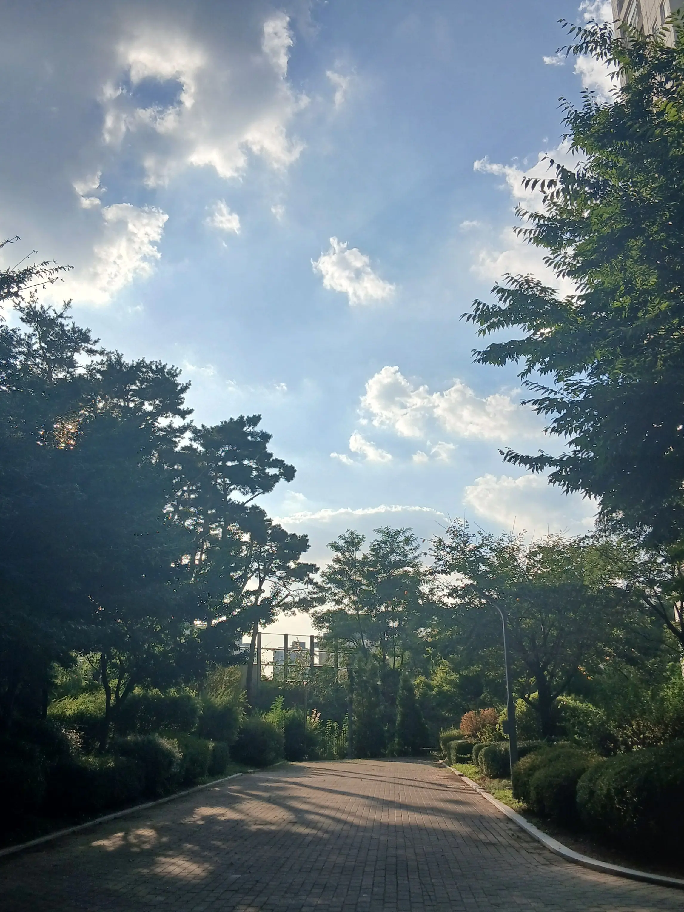 Mincherri의 마음대로