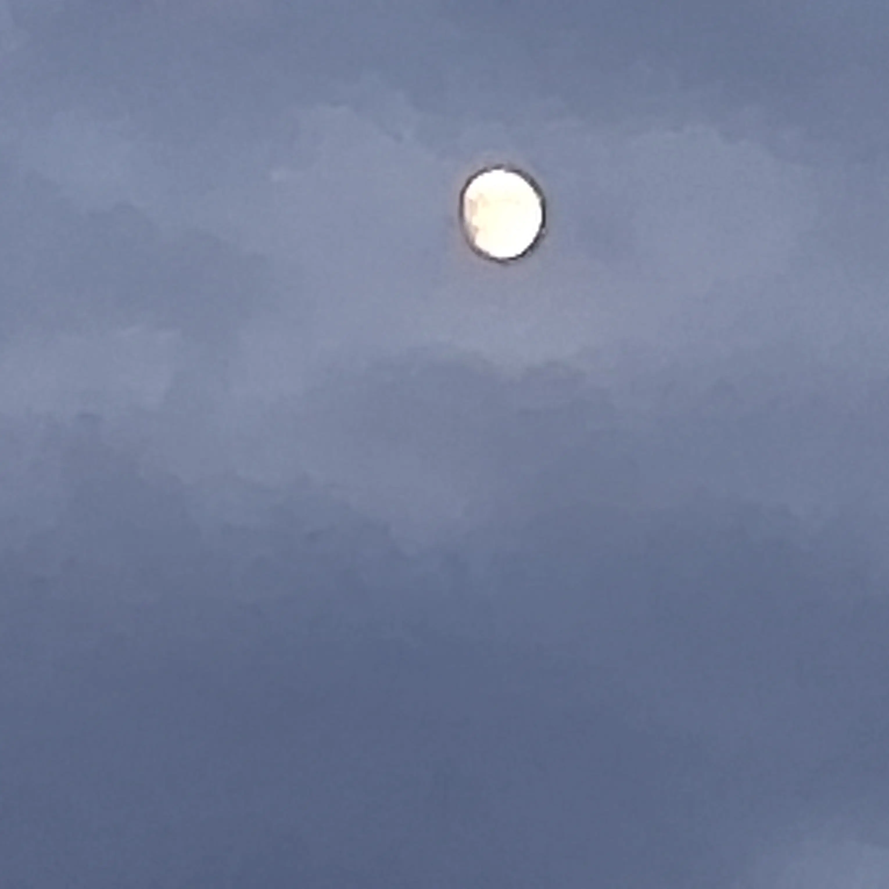 ShabbyStork9657의 당신의 남친, "장지아하오."