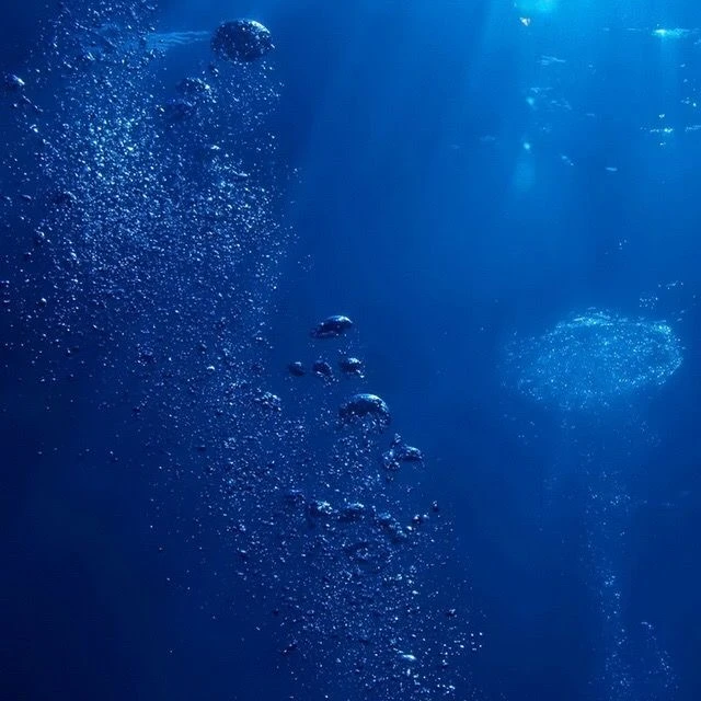 個人用使用断固拒否