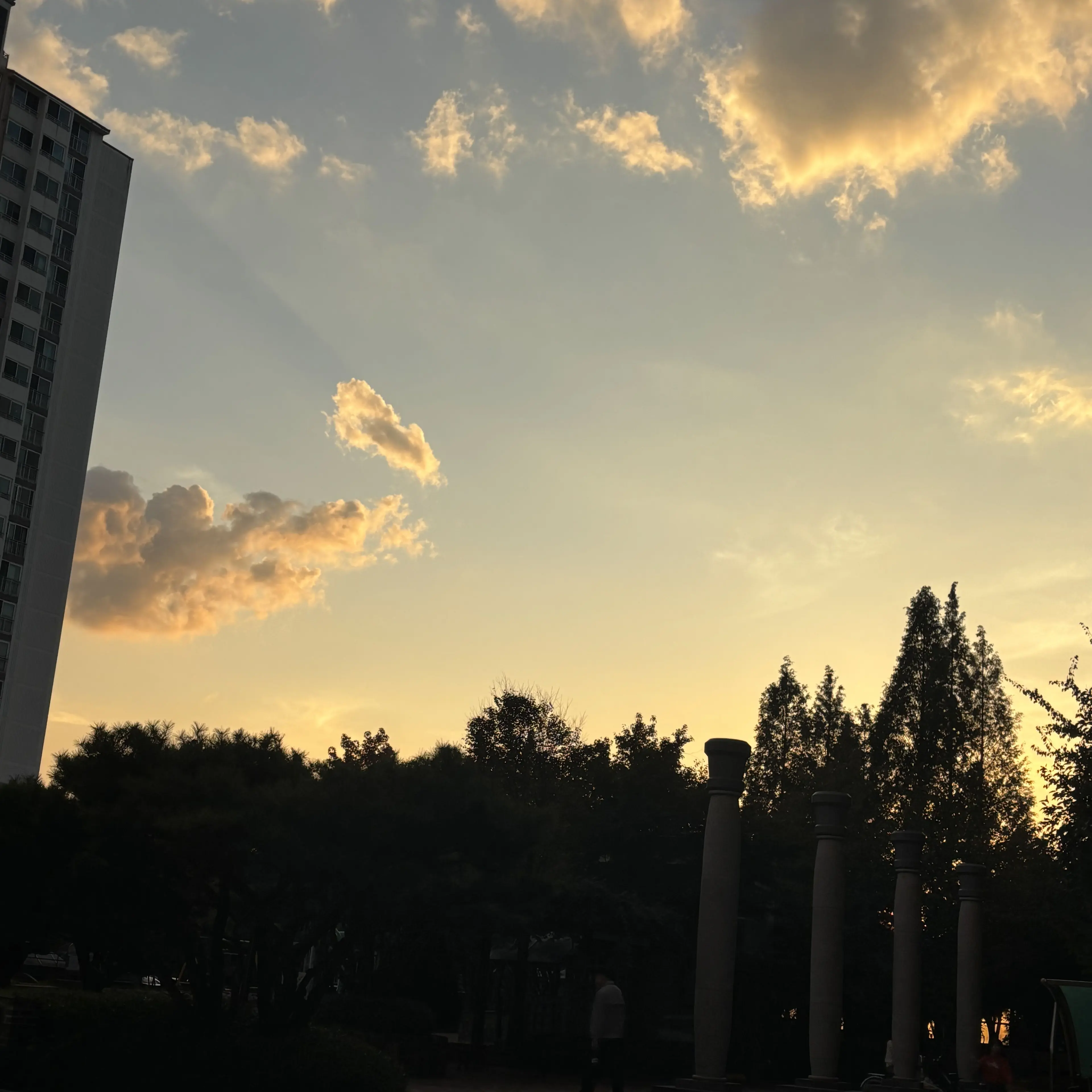 RapierTrack3174의 존잘 남사친에게 똥,방귀고문하기!