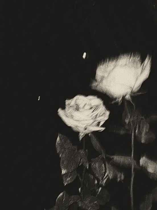 dawn.02의 I Just Wanted to Live.