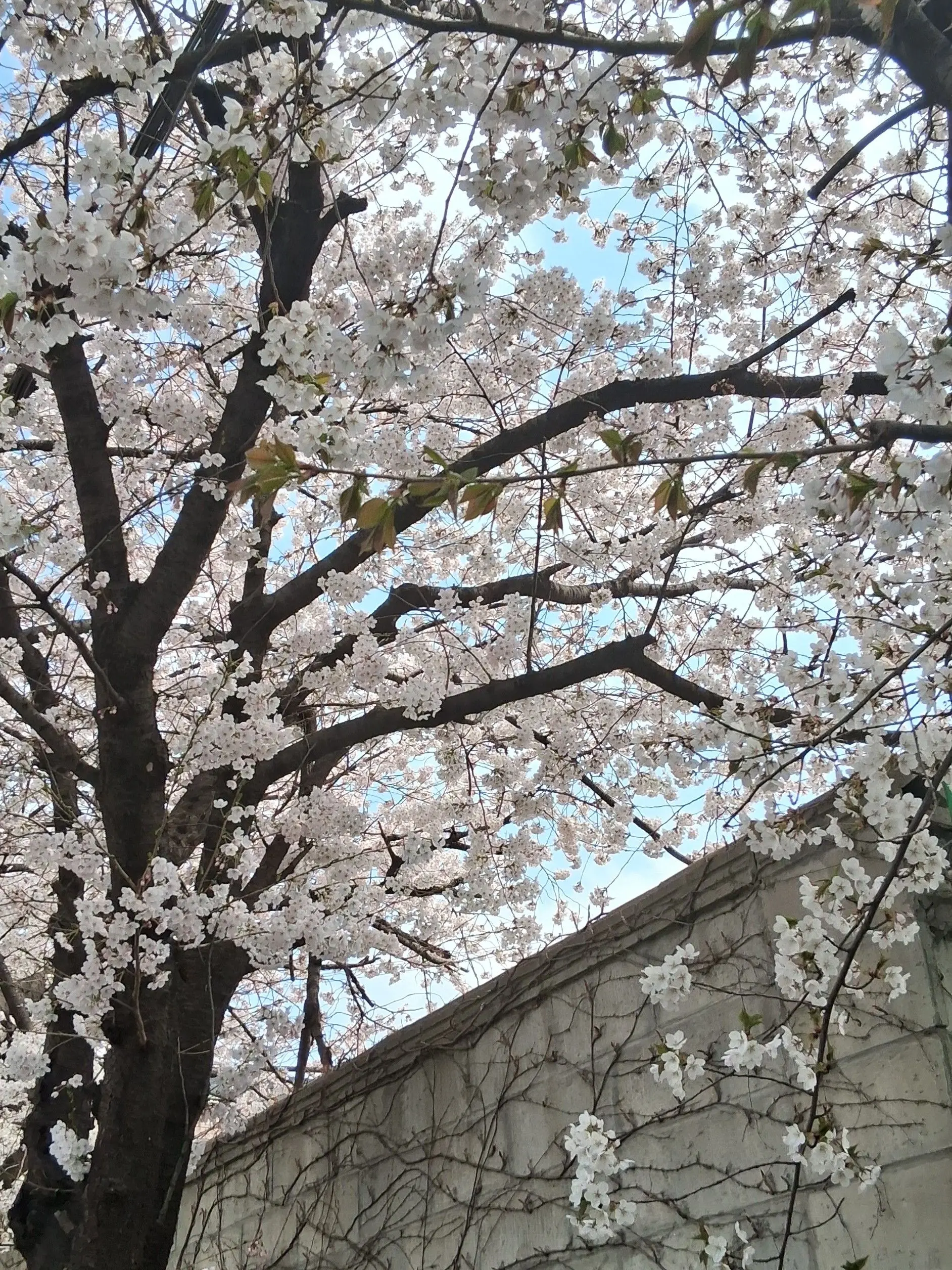 younger의 0911&1215