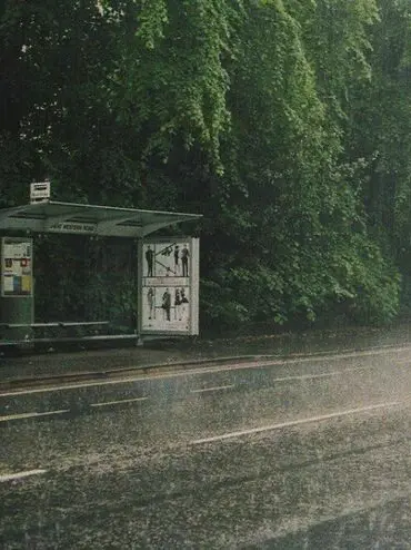 Pipiko의 청춘의 장마