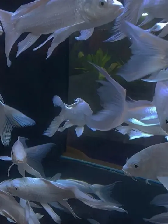 UndMe_W의 Sweat Heart .