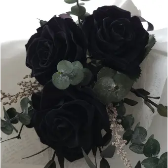 TautLemur2854의 天倆 (천량)