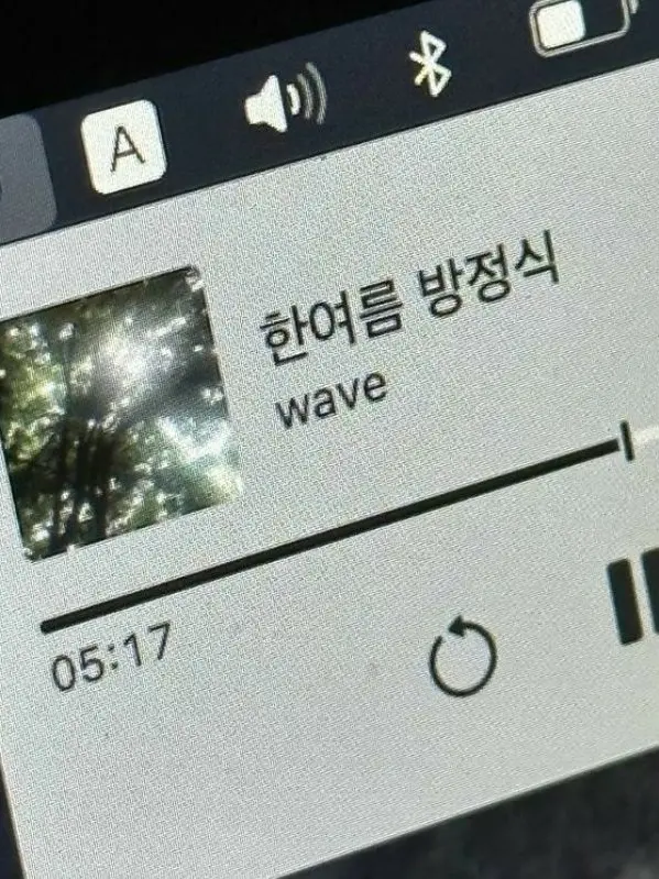 SavoryMenu9324의 고양이 (개인용)