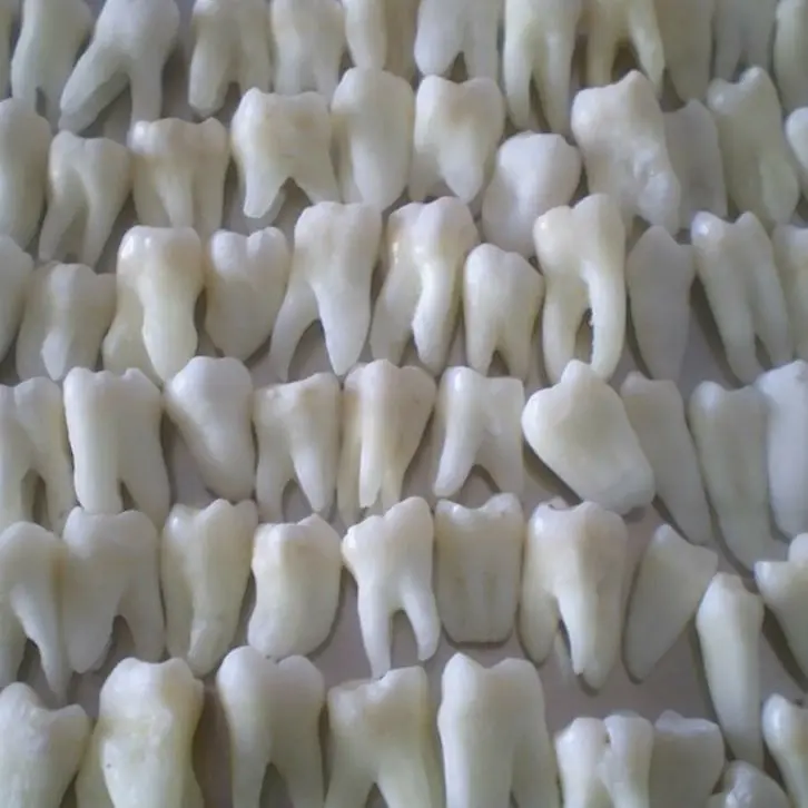 m1dsummer의 채승주