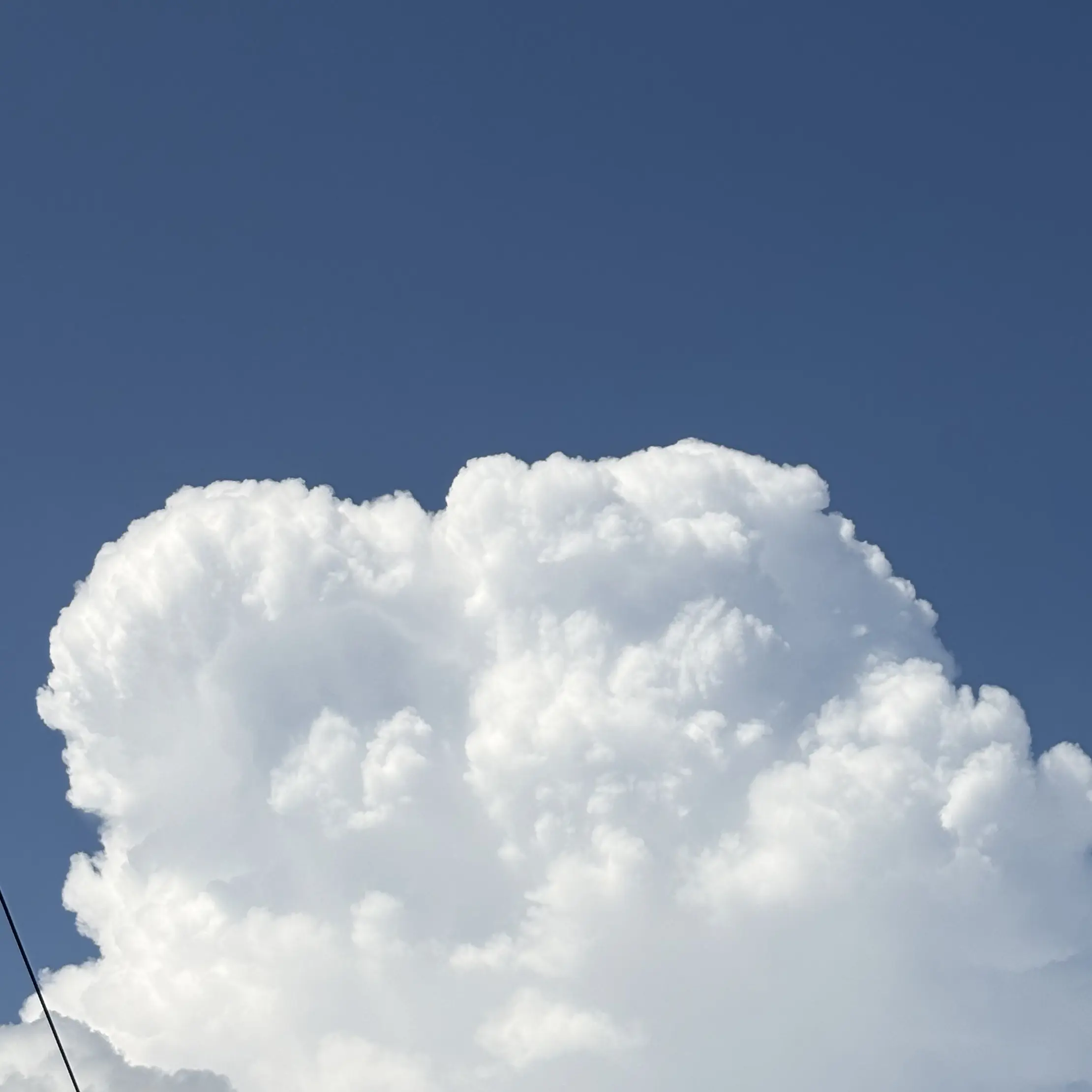 LoudWasp5907의 自分用。使用禁止