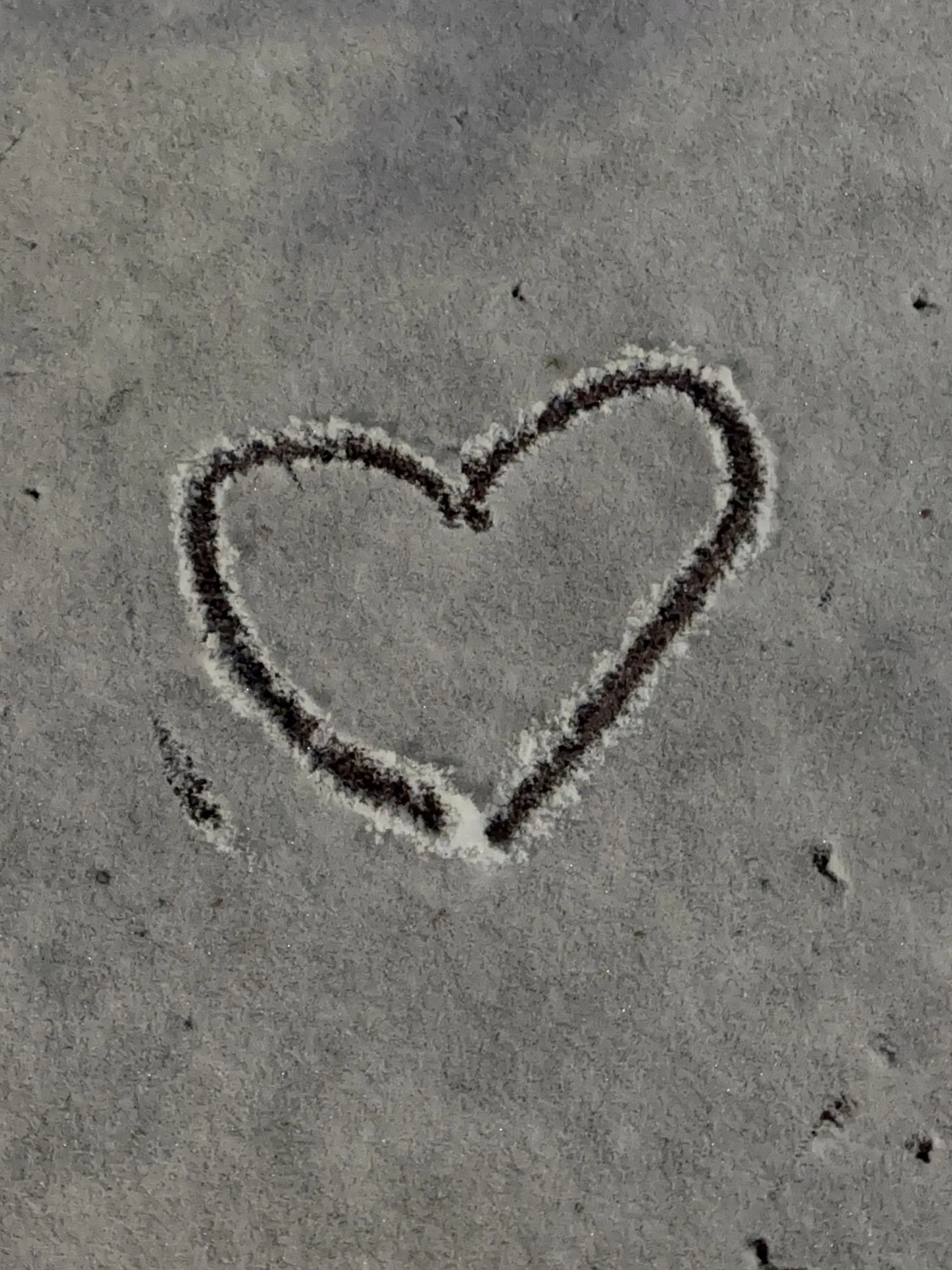 LonelyCap7894의 개인용입니다!!