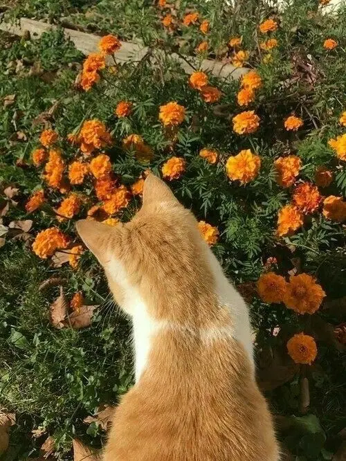 Onlydeliciousthings_의 박덕개