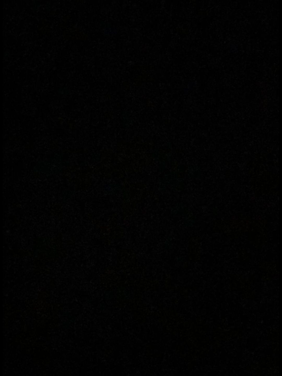 종려 대표 이미지