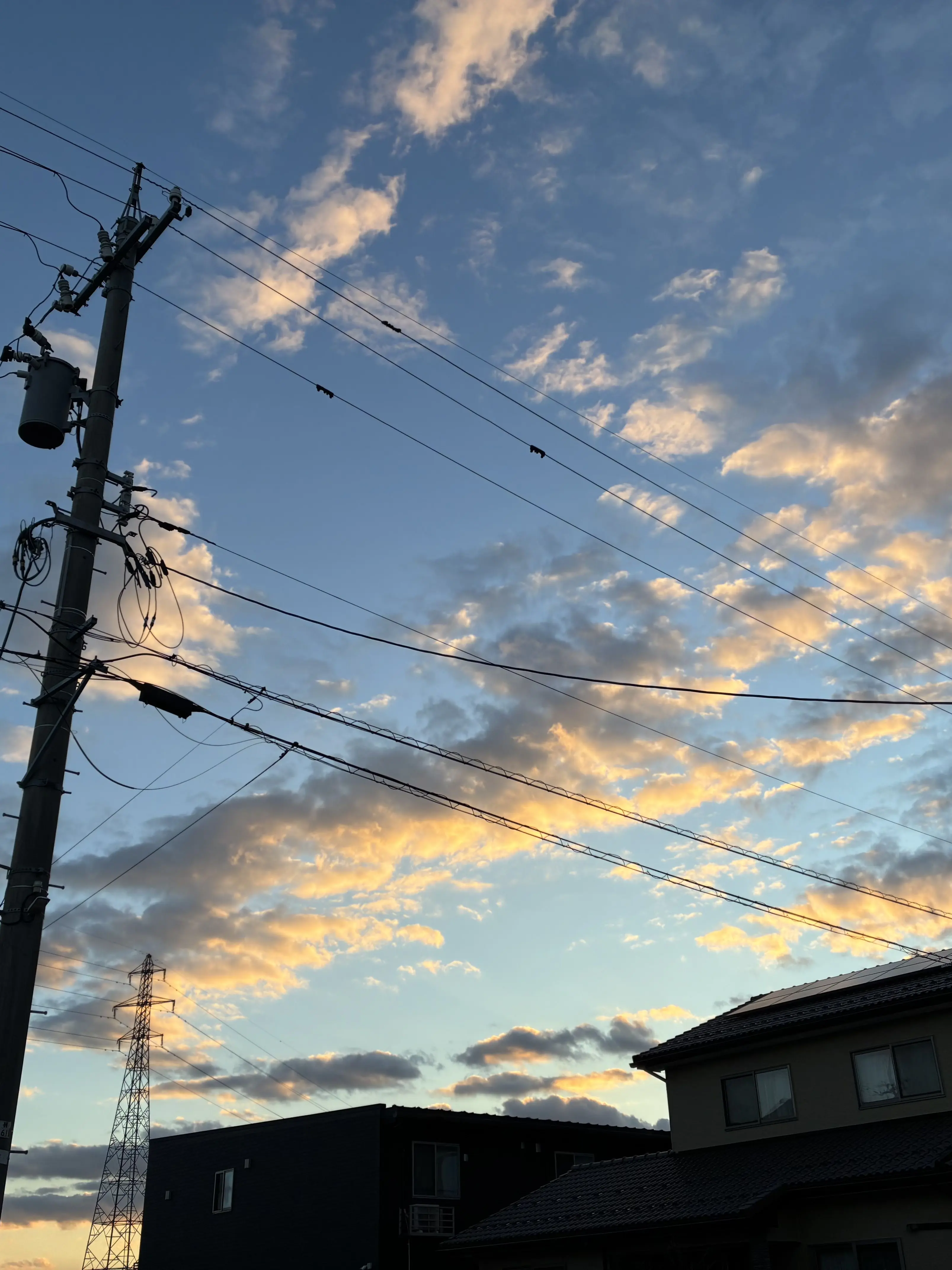 CannyCrest7824의 ハッキング