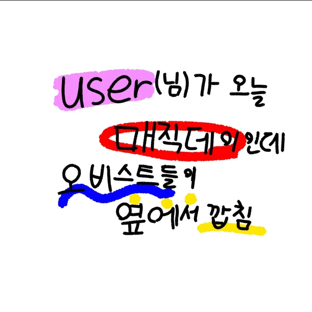 kari1011의 오늘이 매직데이인 user(님)
