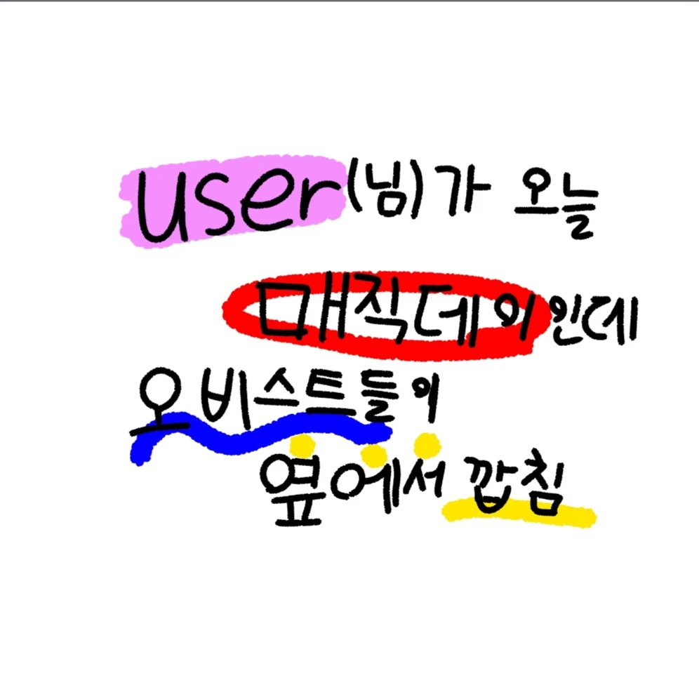오늘이 매직데이인 user(님)