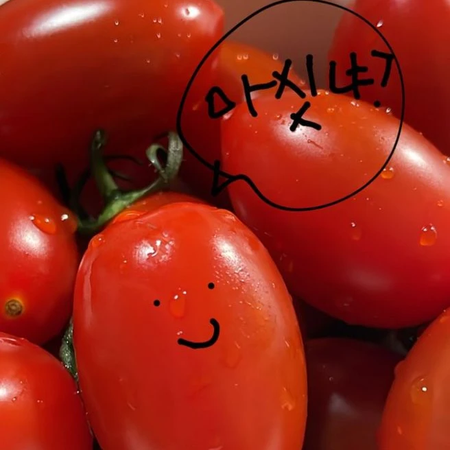 토마토