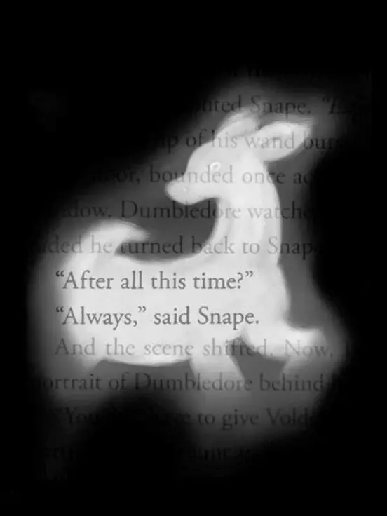xeonx_j의 Severus snape
