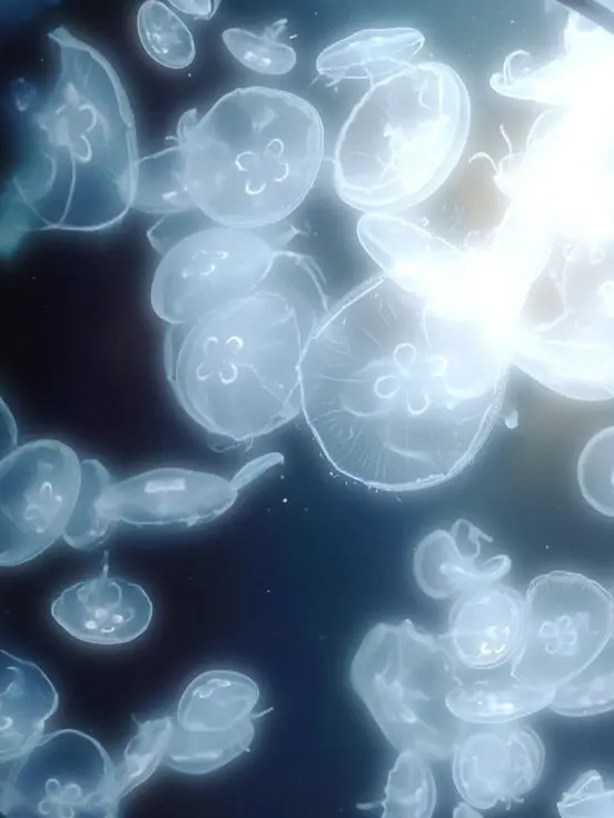 Woowang0722의 백일몽 속에서 울고 토해내