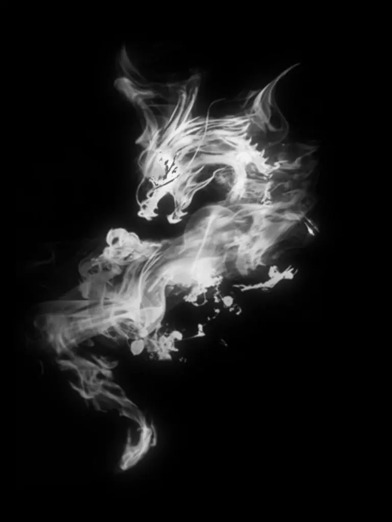 Hanjith의 The Forest Dragon