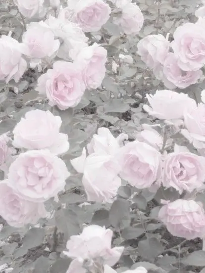 BigUncle2138의 ‪‪❤︎‬  💍  ‪‪❤︎‬