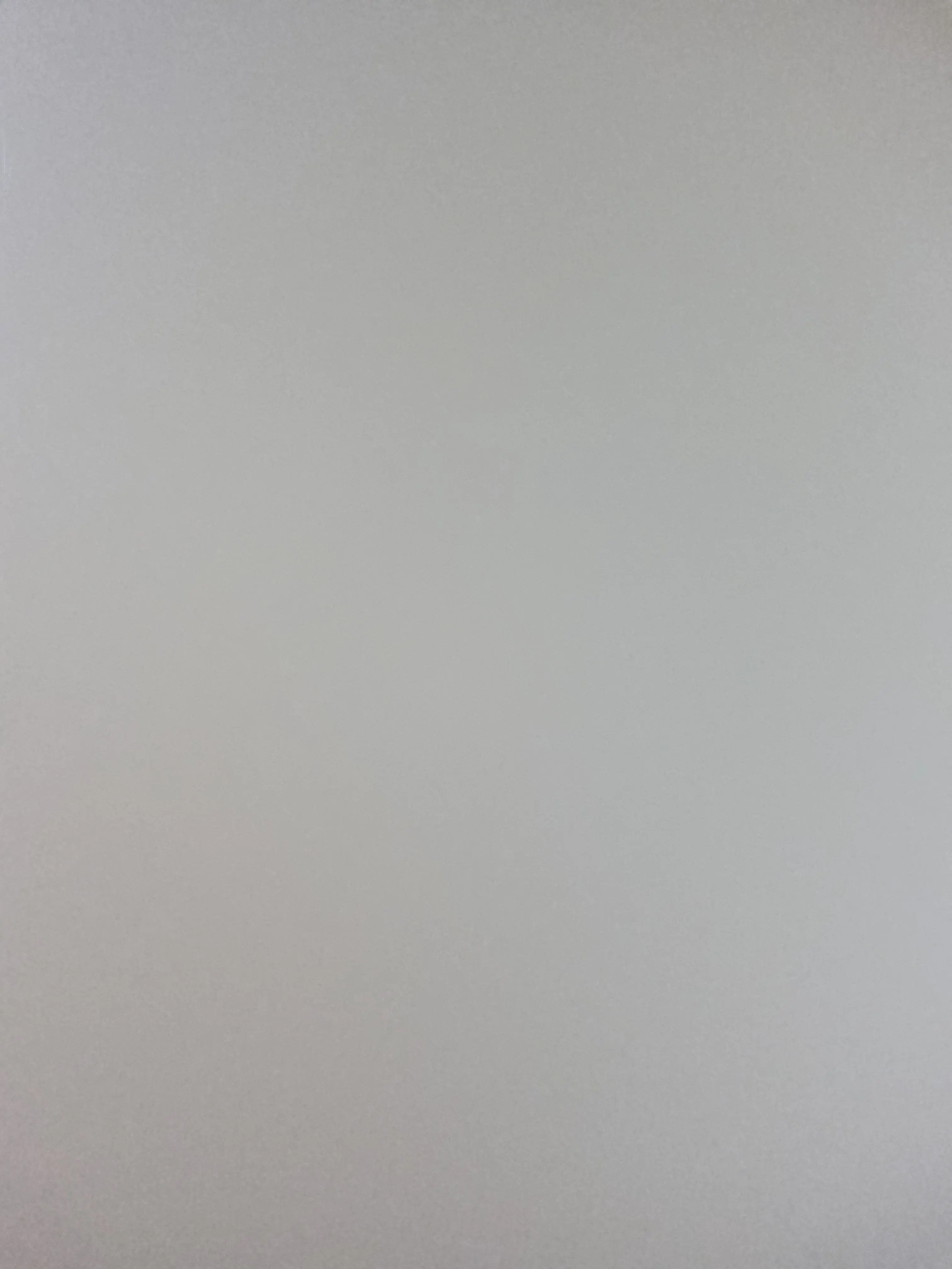 GustyTrump9947의 마에다 리쿠