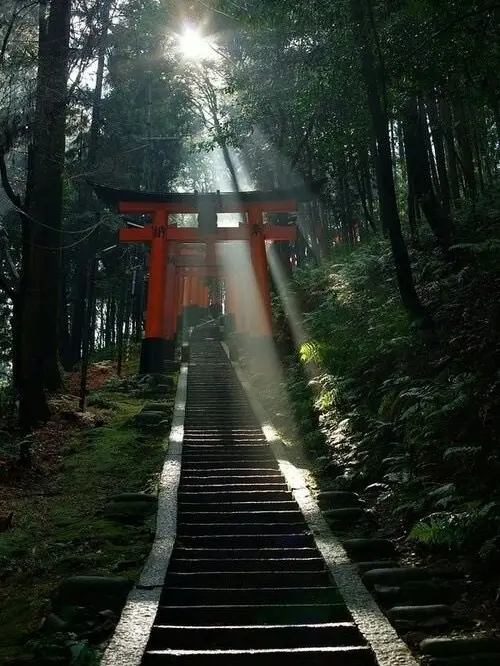 ERAI-의 [여우의 신사] 하야테!