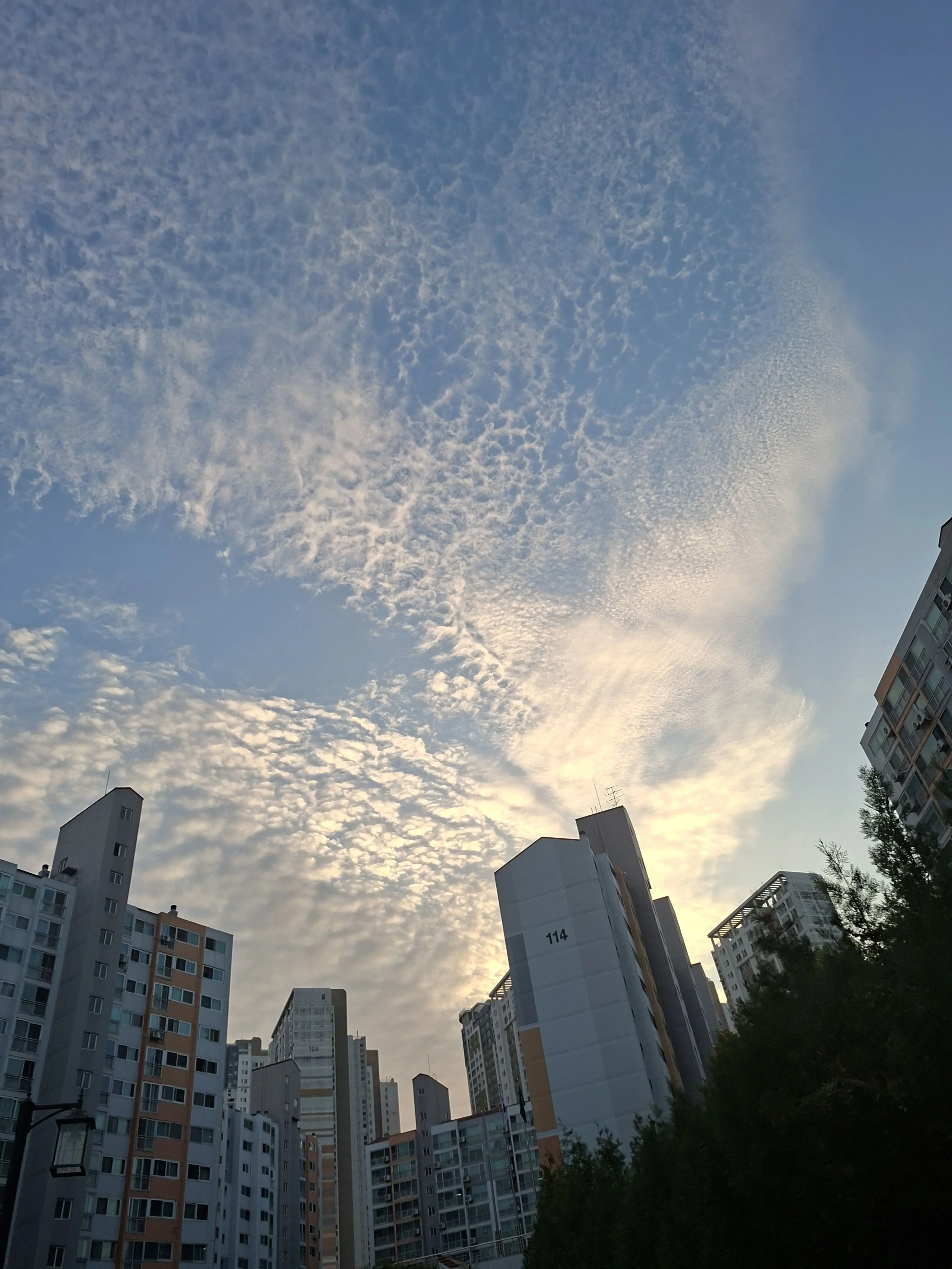 Yoondubu의 미수반-세뇌