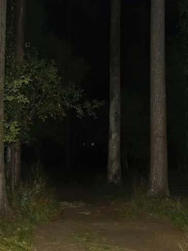 GoodMarsh8694의 Teen brainwashing