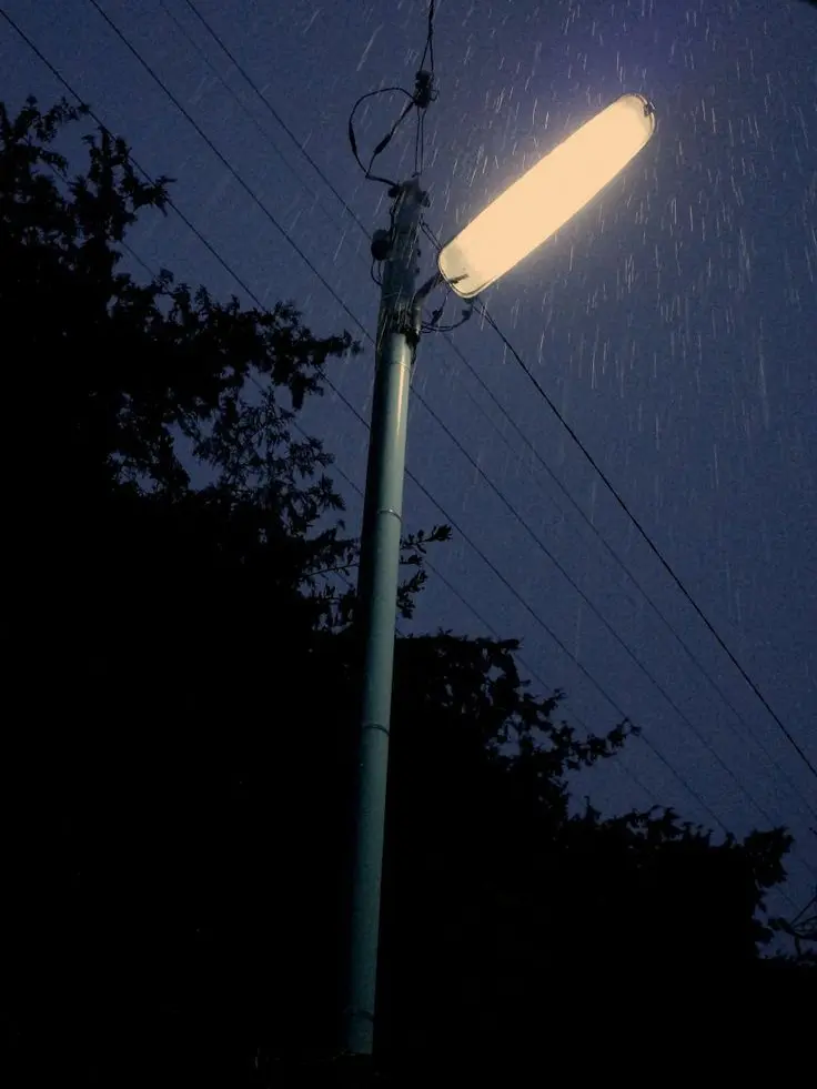 plant___0x0의 貴方は死にたい症候群。