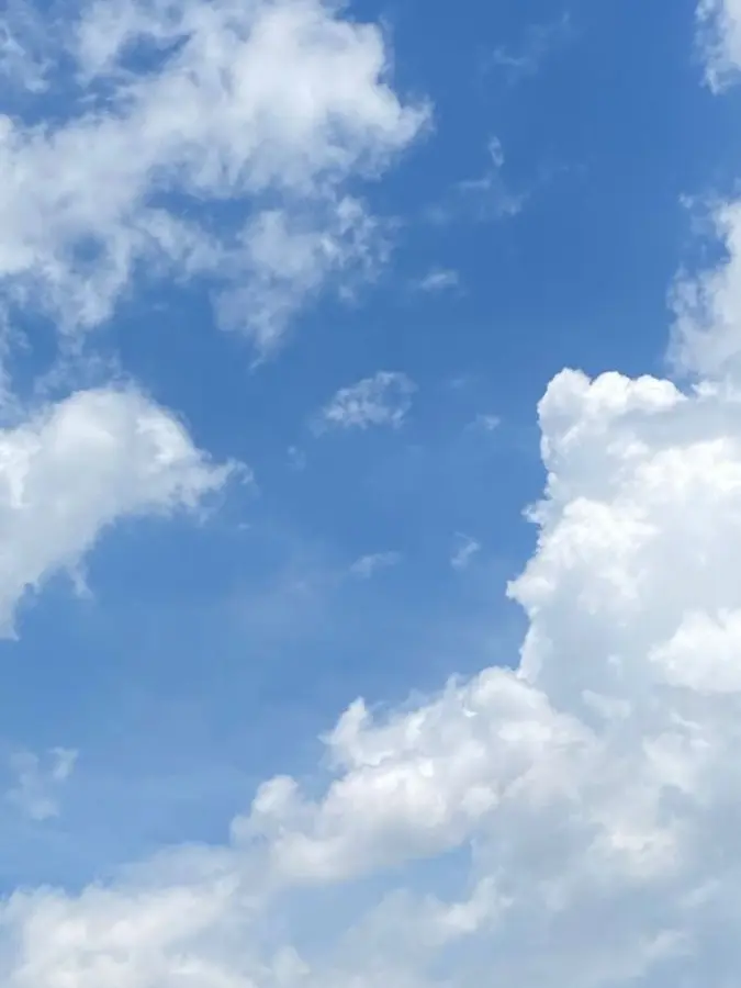 Ethereal_dream의 언젠가는 슬기로울 전공의생활