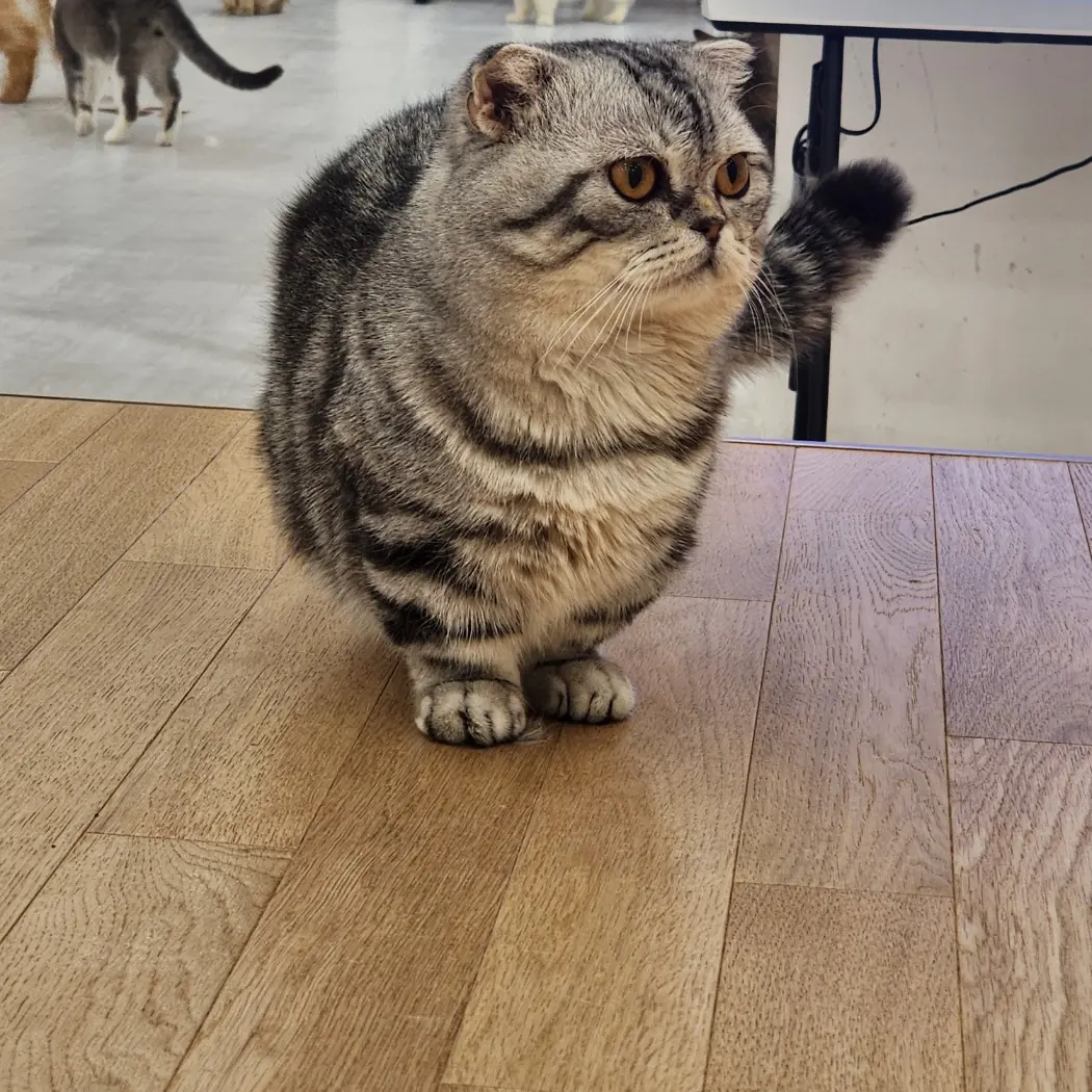 4976의 미*놈 즈