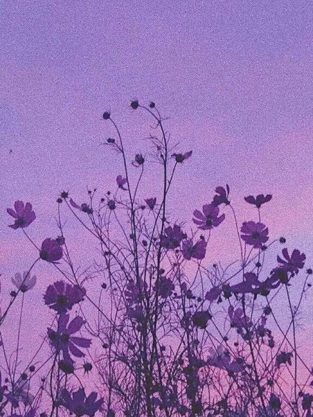 0202_mero의 恐怖症
