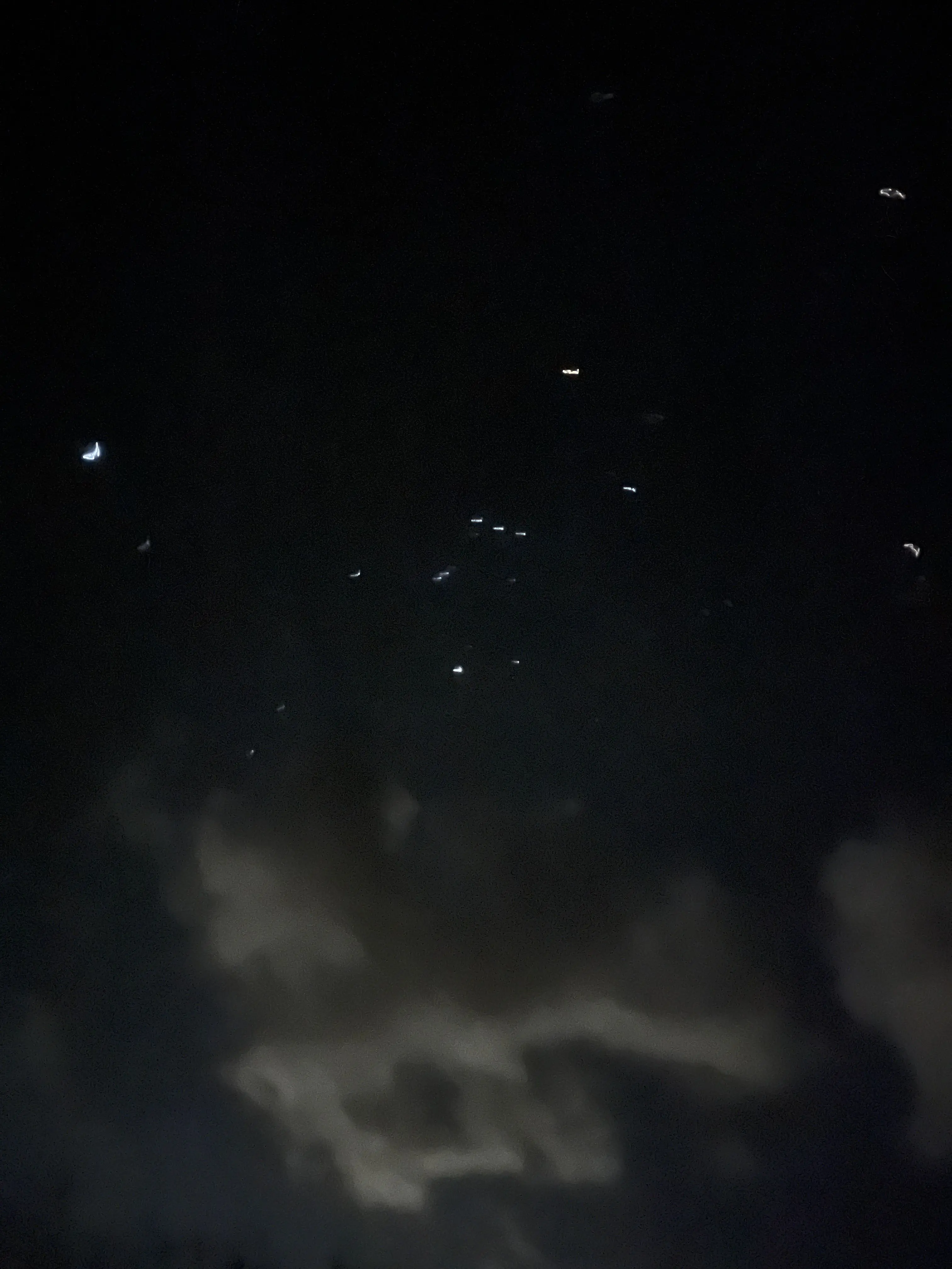 0703_12의 이도연
