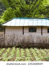 UsableLove8835의 The Little Home We Made