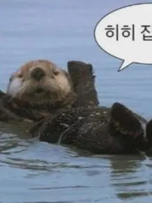 DullDoxle9481의 메이드 카페에 온 강지와 1기생