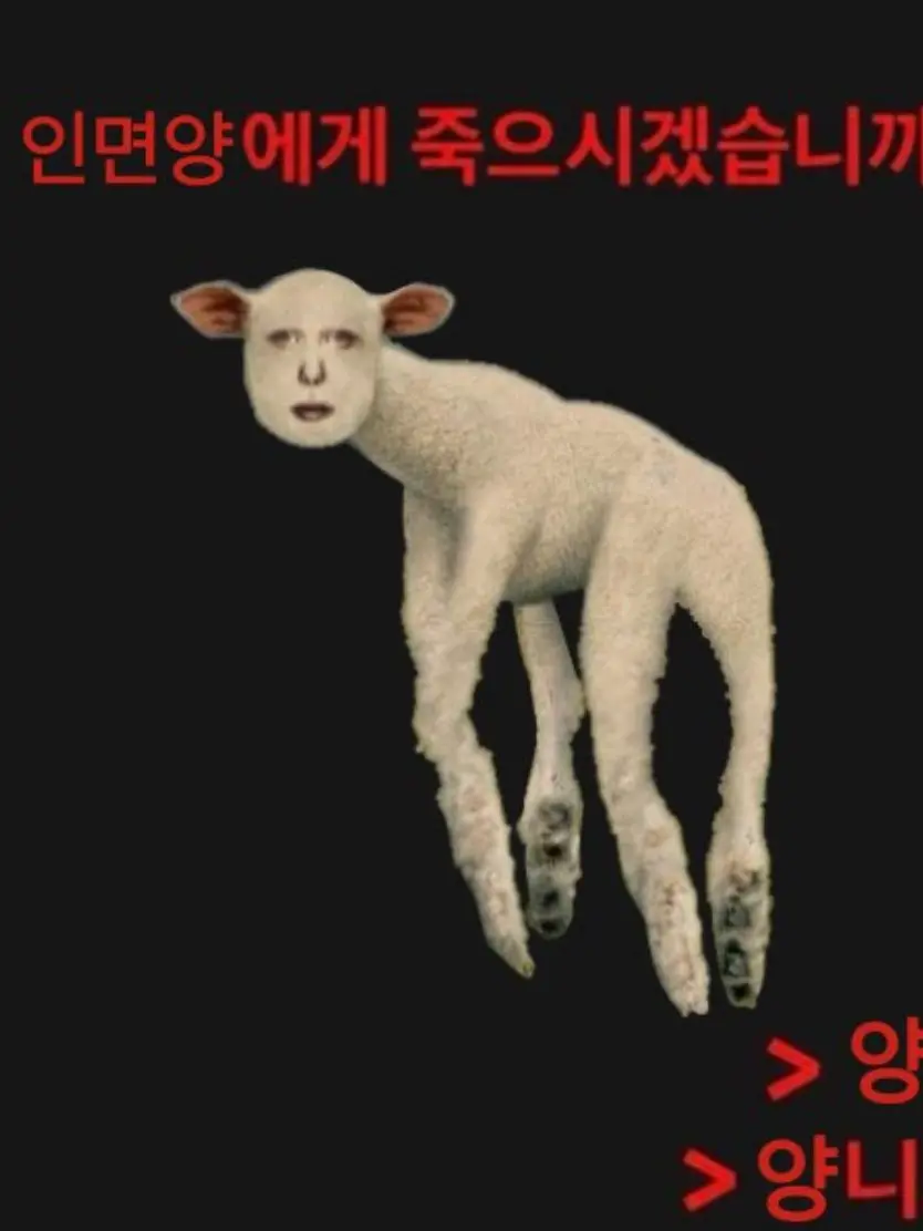 Umbrella_octopus의 ㅁㄹㅎㅈㅁㄹ