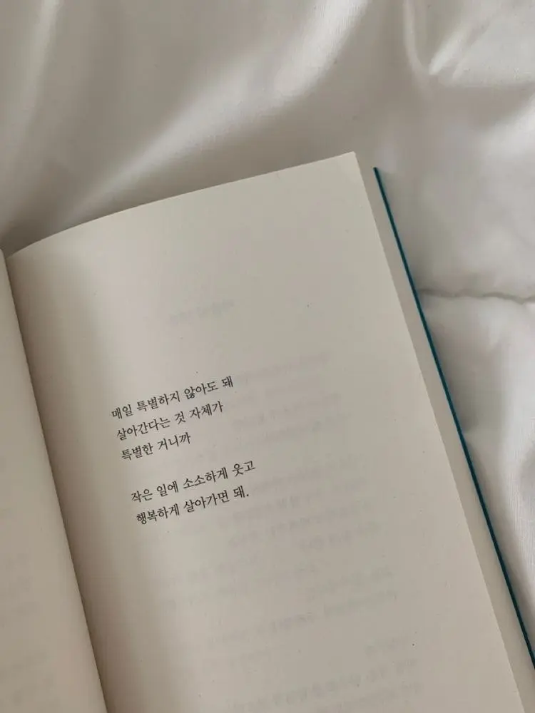 Actinomycosis의 6대 마탑을 관리하는 6명의 마탑주