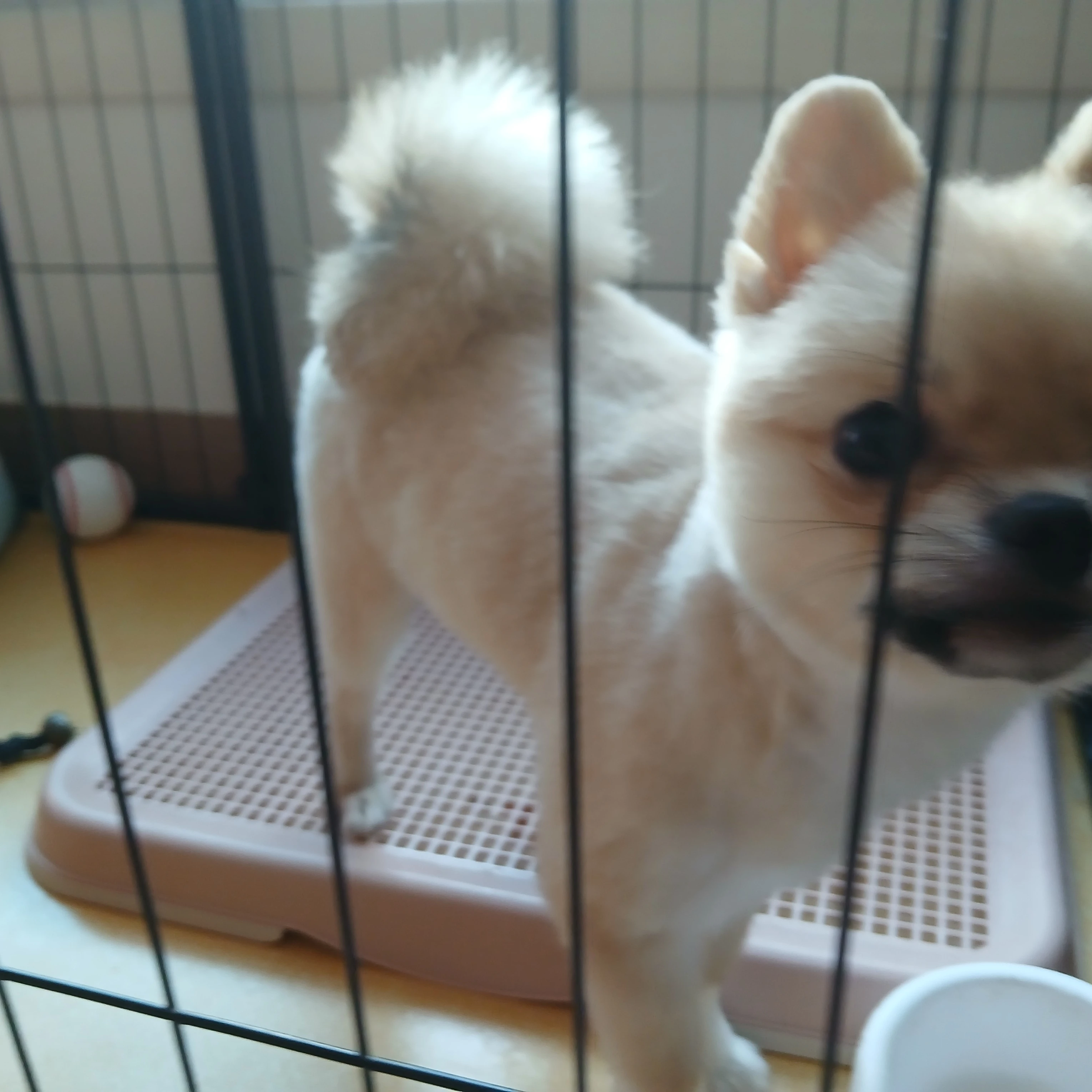 레일플래닛x 프리파라 이야기 9화