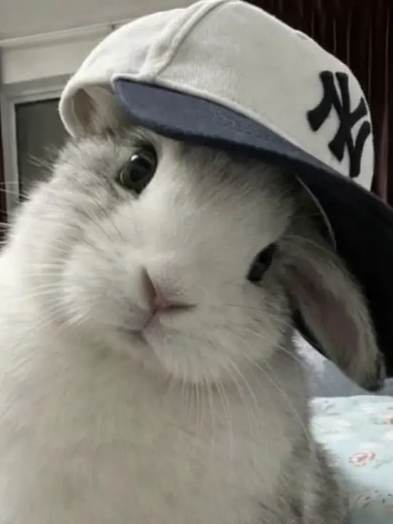 cx.y0_en의 Q. 남친이 갑자기 애교를 부려요