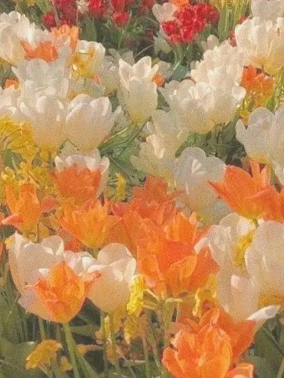 LoudFruit1115의 メイドさん？？