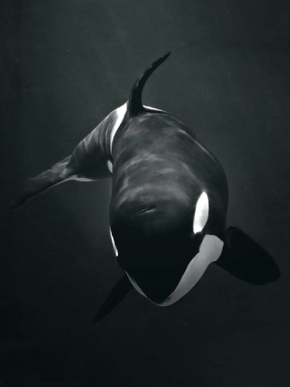 hhhhhhhh_0n의 Grave